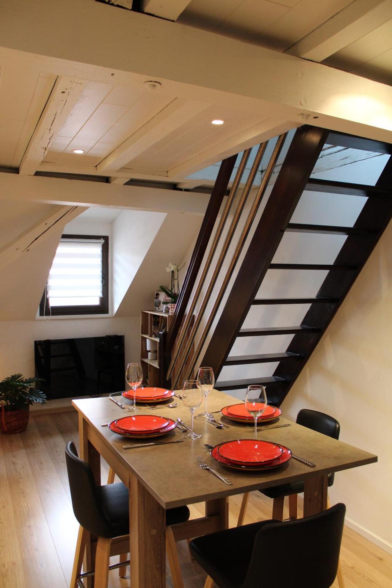 Duplex Privatise, Climatise, 2 Apartment Straßburg